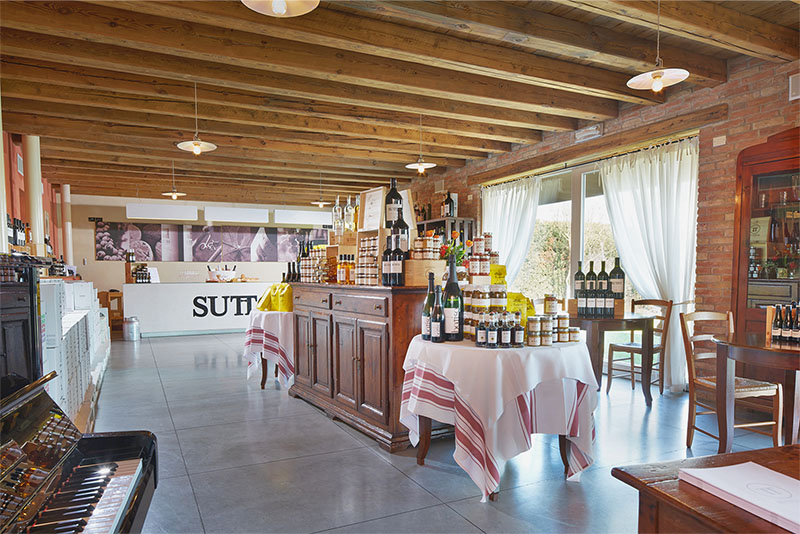 Sutteria